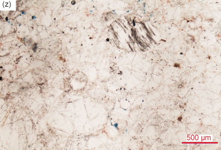 Figure 29z