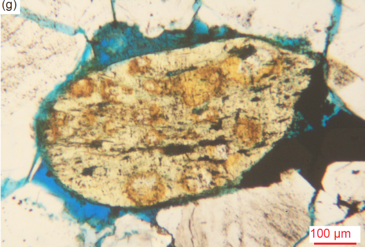 Figure 30g