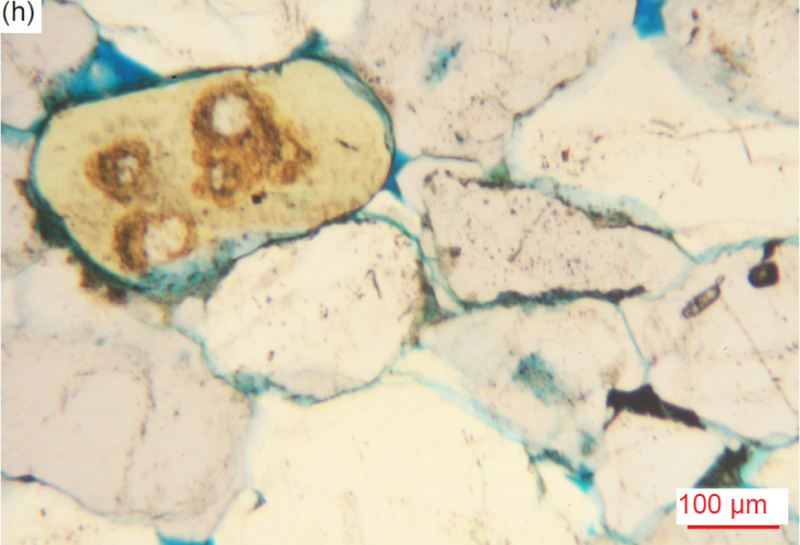 Figure 30h
