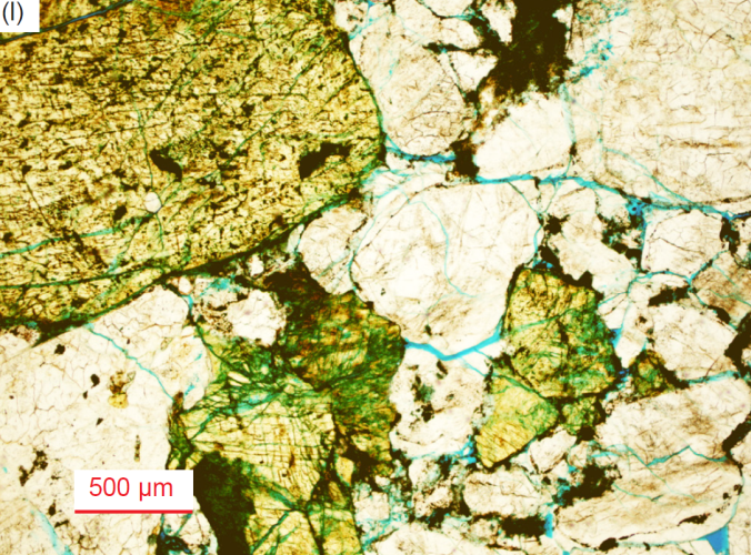 Figure 30l