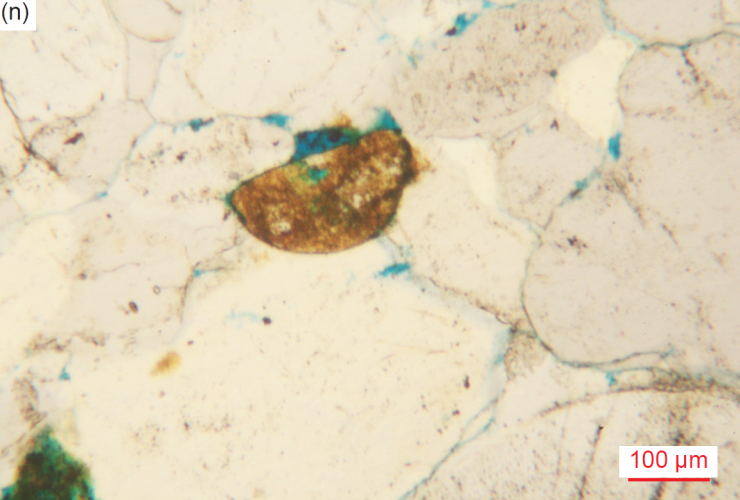 Figure 30n