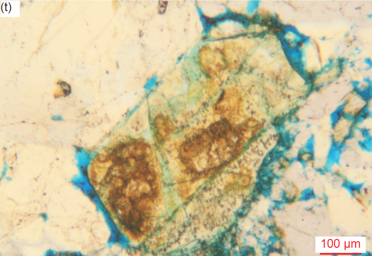 Figure 30t