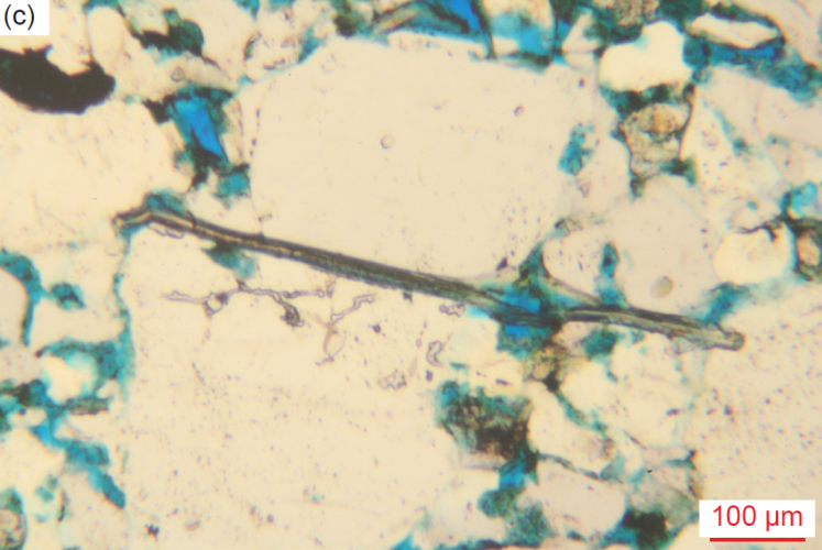 Figure 32c