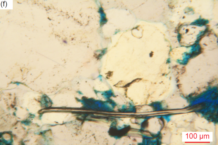 Figure 32f