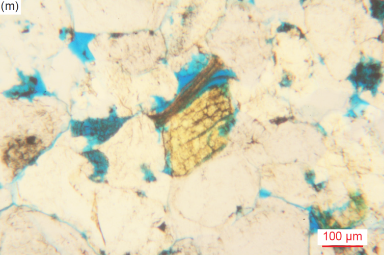 Figure 32m