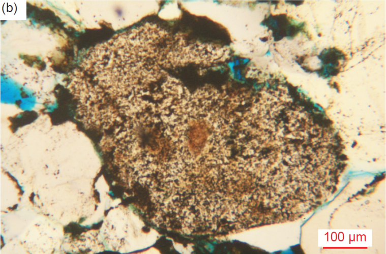 Figure 36b
