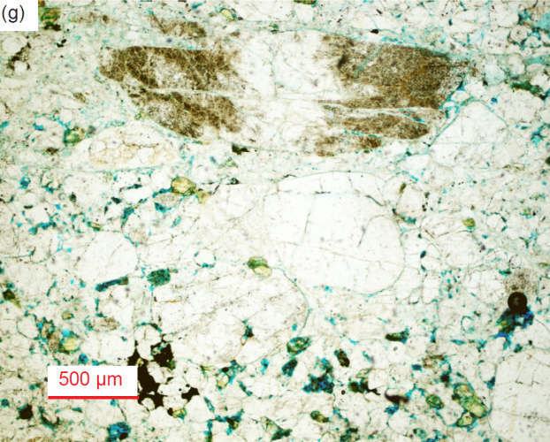 Figure 36g