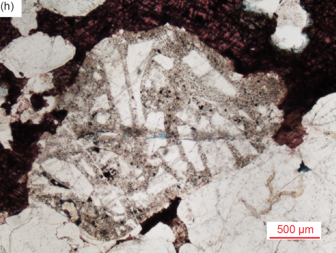 Figure 36h