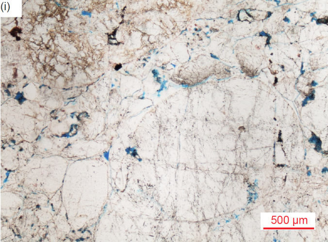 Figure 36i
