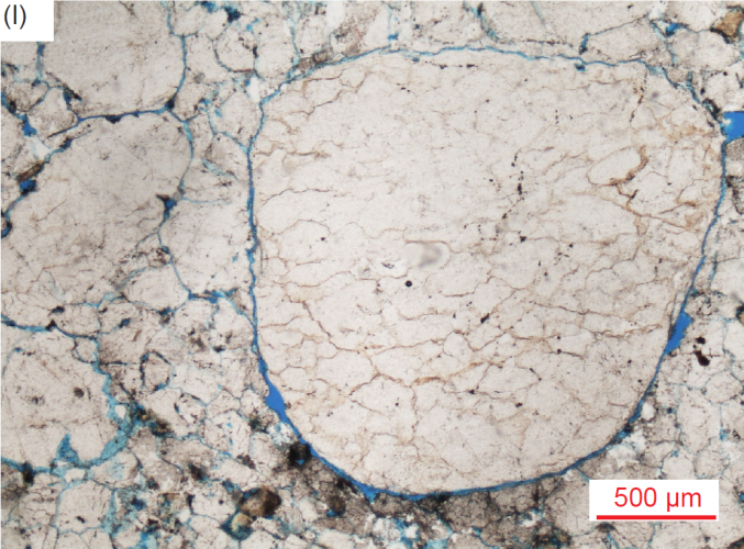 Figure 36l