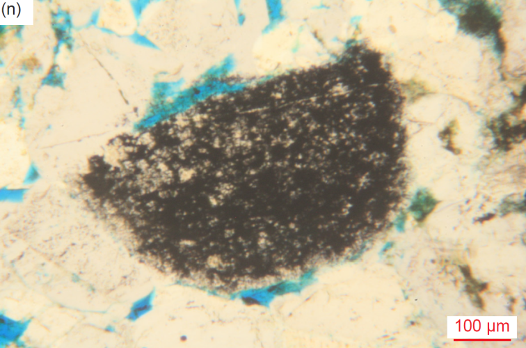 Figure 36n