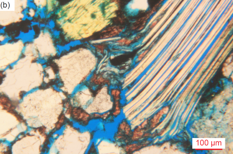 Figure 37b