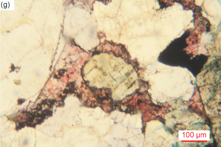 Figure 37g