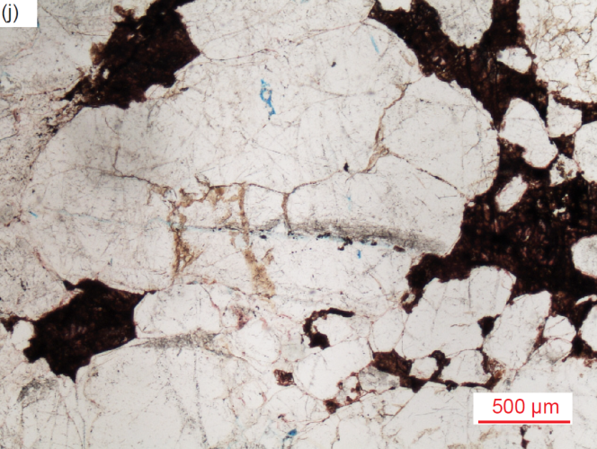 Figure 37j