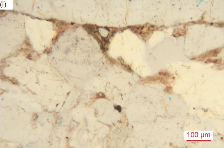 Figure 37l