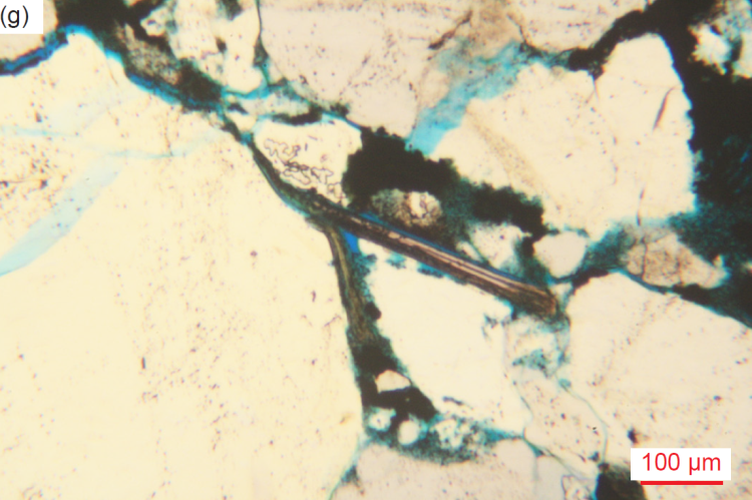 Figure 39g