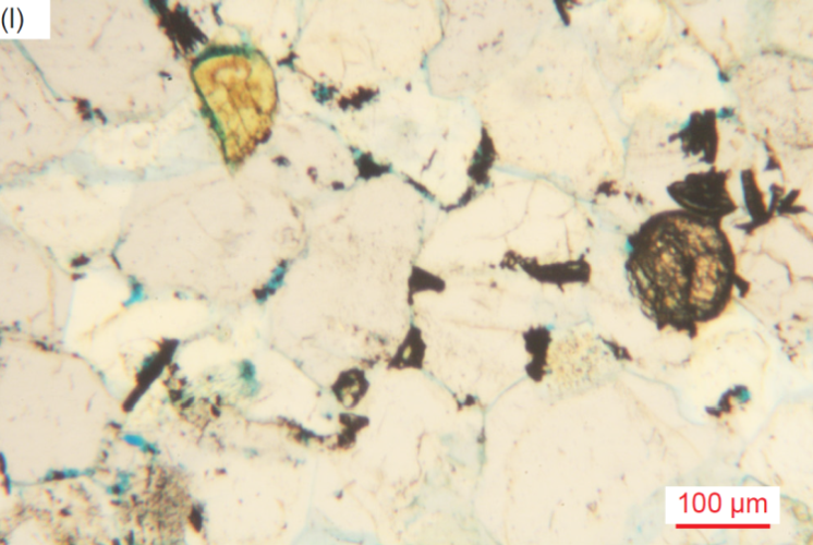 Figure 39l
