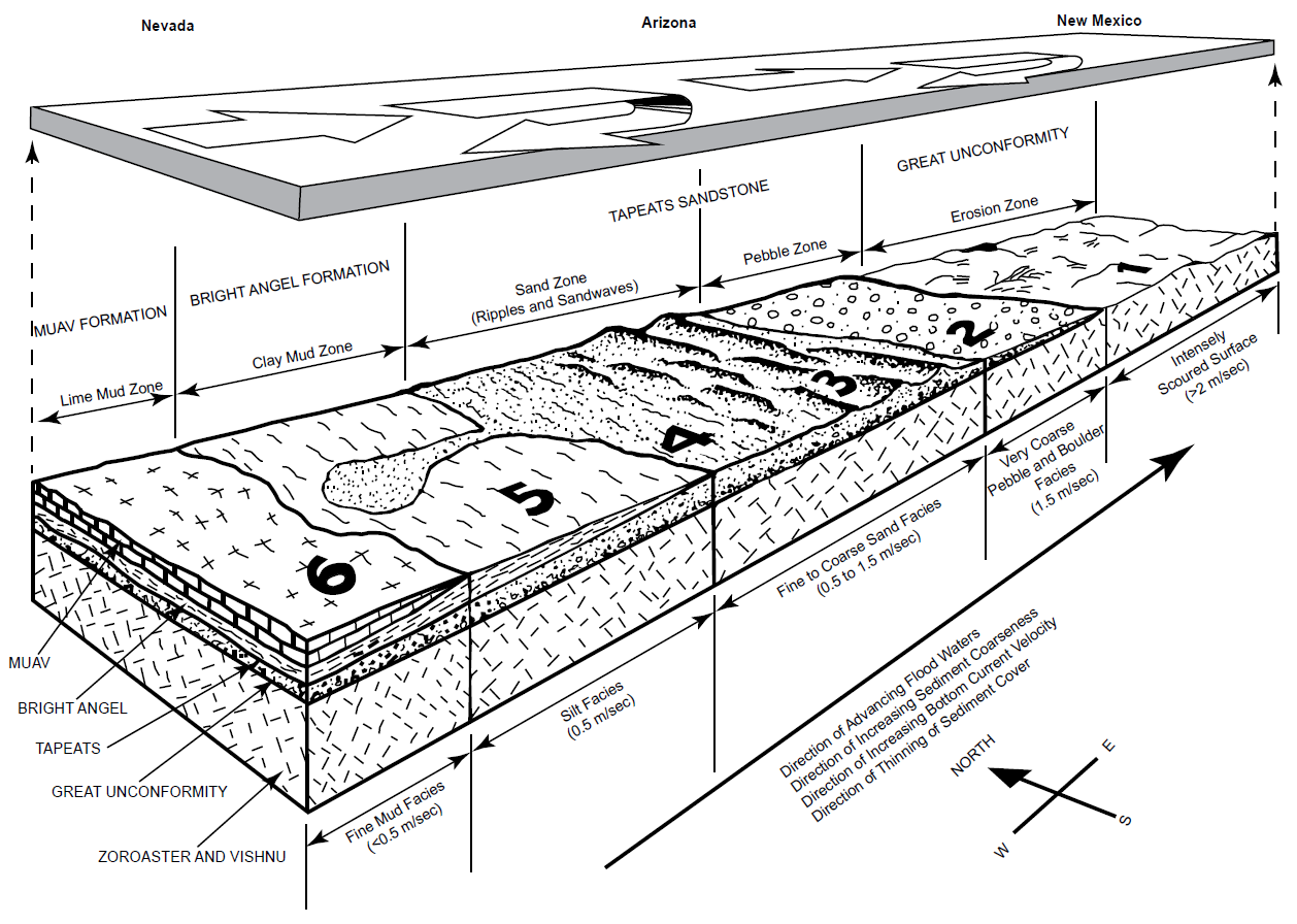 Figure 40