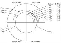 Composite schematic drawing of (a) a <sup>218</sup>Po halo, (b) a
<sup>238</sup>U halo, (c) a <sup>214</sup>Po halo, and (d) a
<sup>210</sup>Po halo
