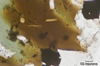 (e) Johnson Granite Porphyry (sample RYG-33)