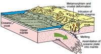 Subduction of an oceanic plate (Pacific plate) during convergence
with a continental plate (North American plate)