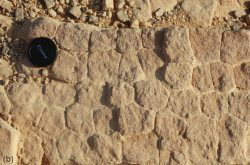 Fig. 20
