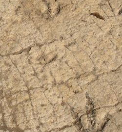 Fig. 27