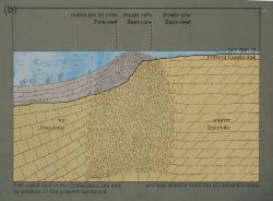 Fig. 30