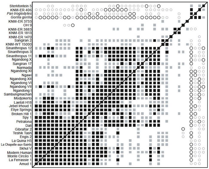 BDC results for the dataset of Zeitoun (2000)