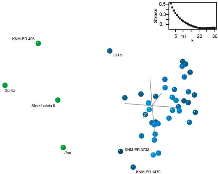 Three-dimensional MDS results for the dataset of Zeitoun (2000)