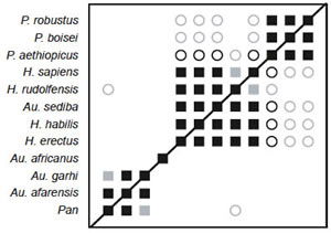 BDC results for the dataset of Berger et al. (2010)