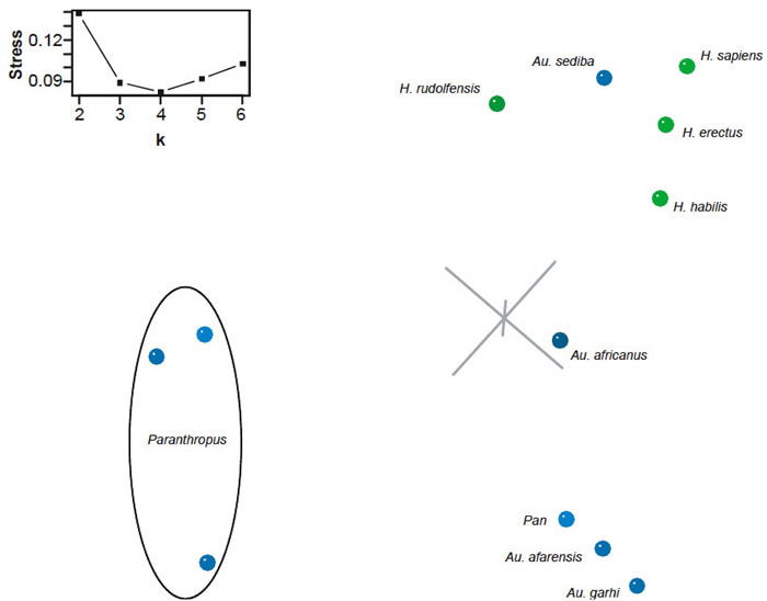 Three-dimensional MDS results for the dataset of Berger et al. (2010)