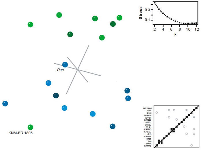 BDC and MDS results for the dataset of Prat (2004)
