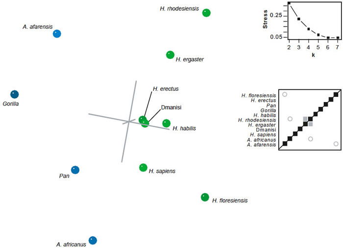 BDC and MDS results for the dataset of Argue et al. (2009)