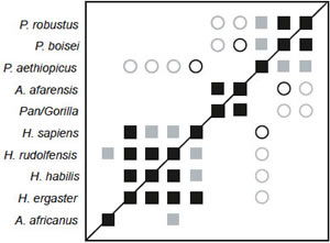 BDC results for the dataset of Strait and Grine
(2001).