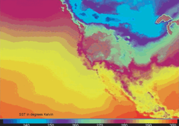 Sea Surface Temperature