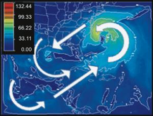 Figure 31
