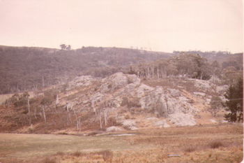 Meadow Flat