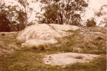 Evans Crown