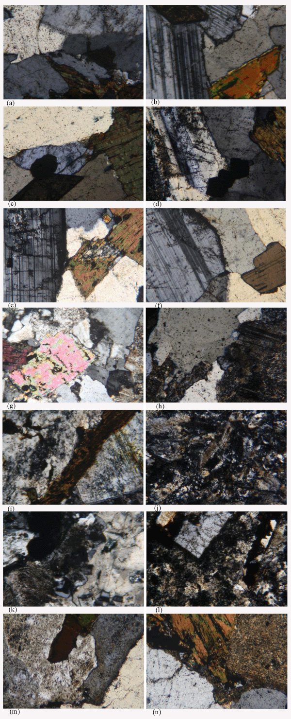 Photomicrographs