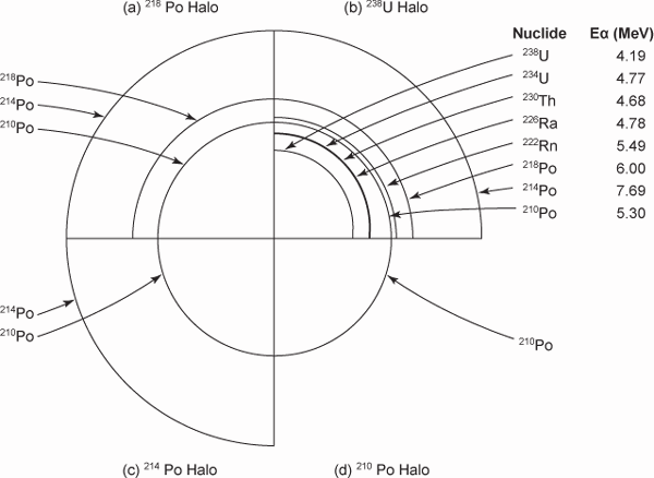 Schematic Drawing