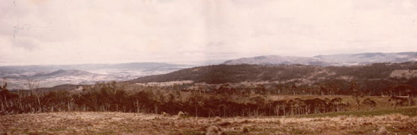 Panoramic View