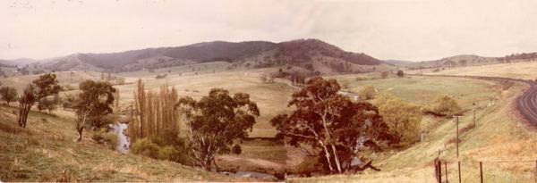 Solitary Creek