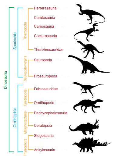 Dinosaur Weight Chart