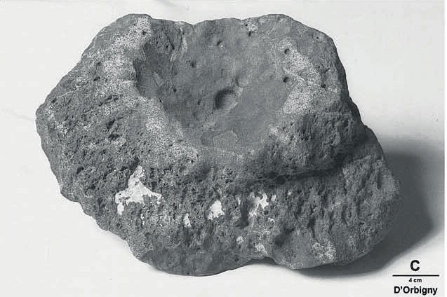 Figure 3c
