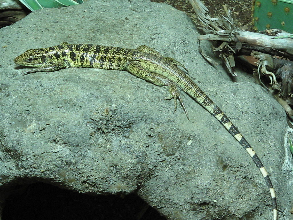 Figure 30