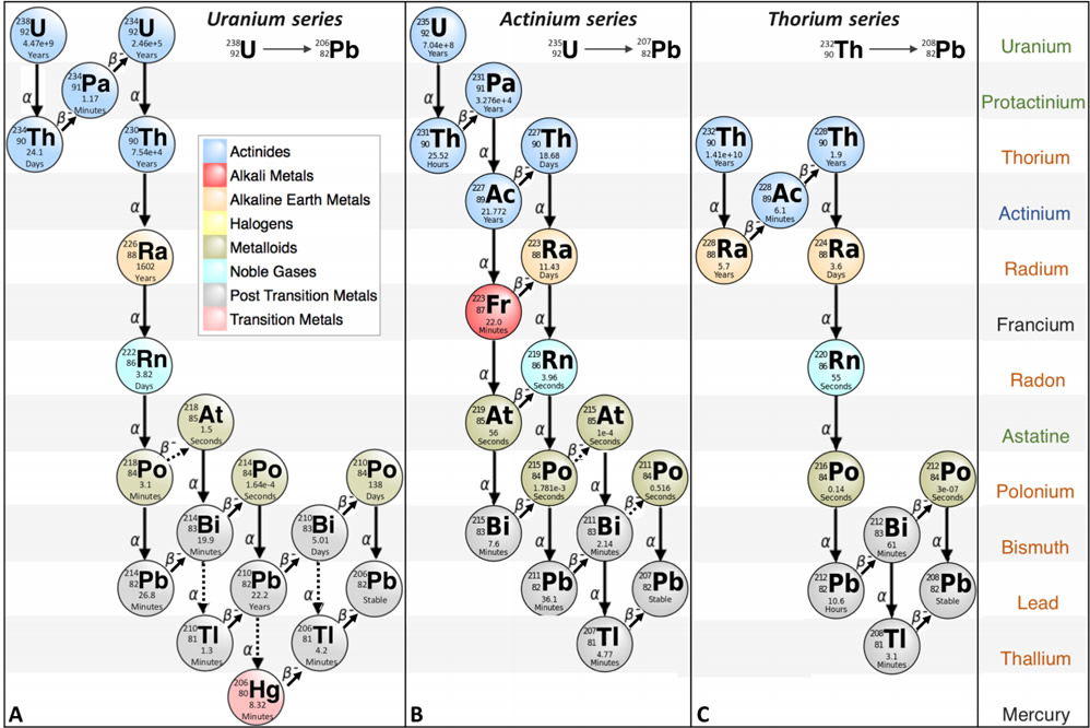  Bridges: A Model for the Discontinuity Problem | Answers in Genesis