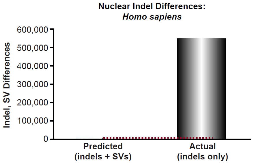 Figure 20
