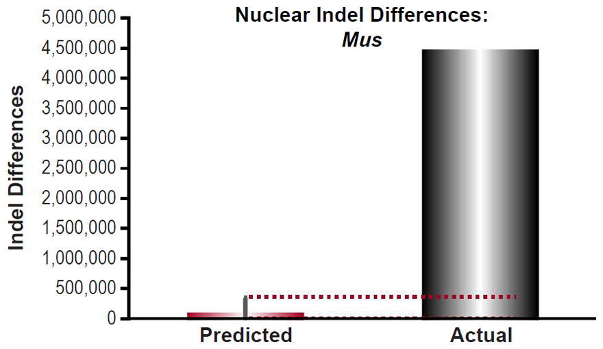 Figure 21