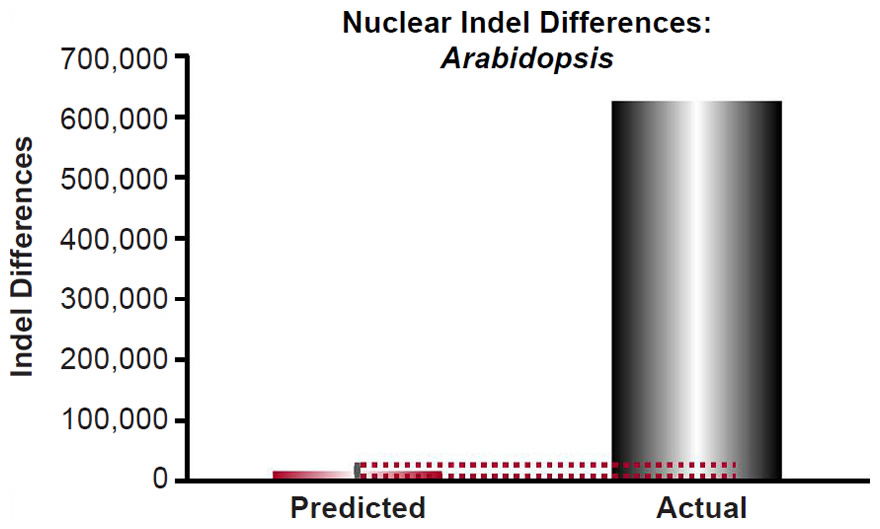 Figure 22